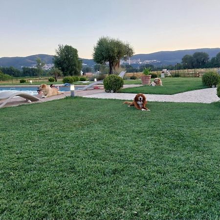 Agriturismo Tenuta Filippi Narni Dış mekan fotoğraf