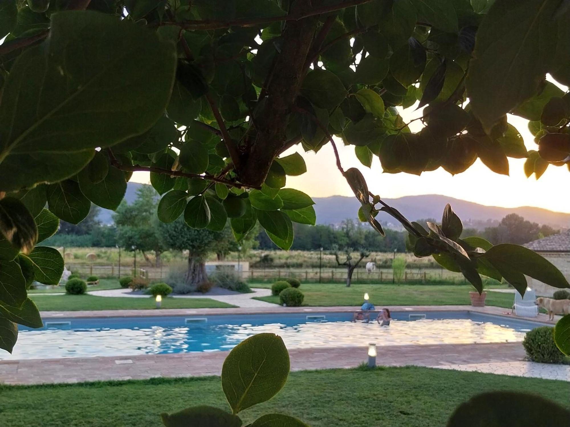 Agriturismo Tenuta Filippi Narni Dış mekan fotoğraf